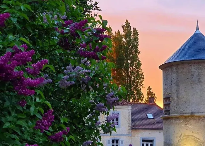 Logis - Du Colombier 3* Guînes